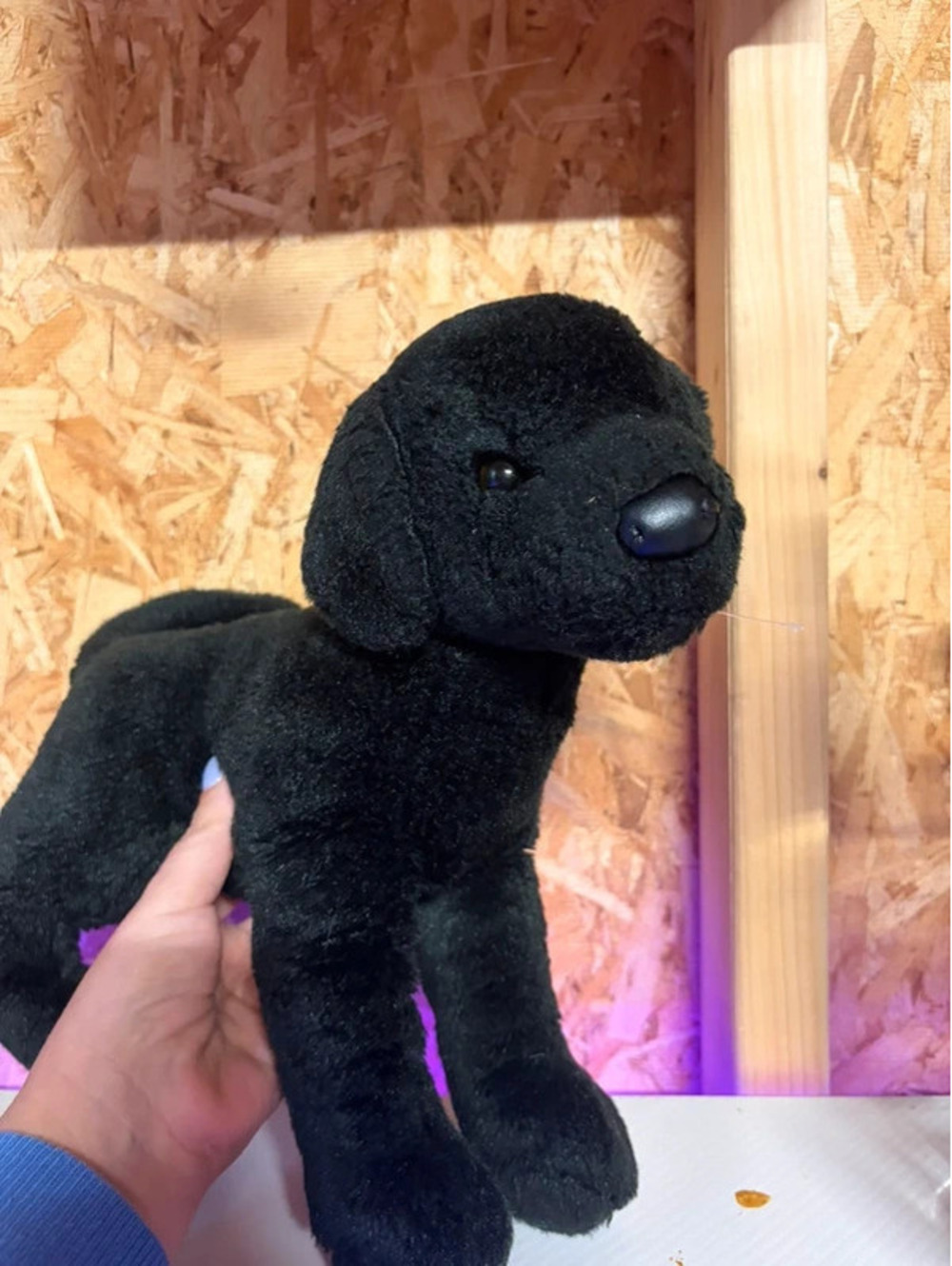 Douglas Chester Black Lab Dog 16” Plush Stuffed Animal Labrador Puppy EUC -5